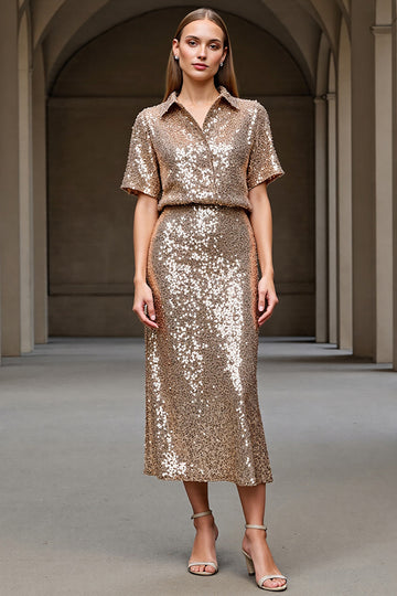 Sparkly Champagne Sheath Work Dress with Sequins